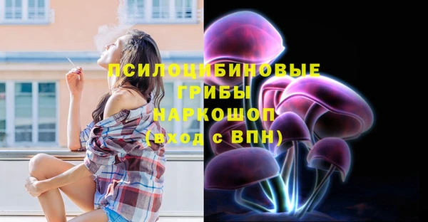 дурь Переславль-Залесский