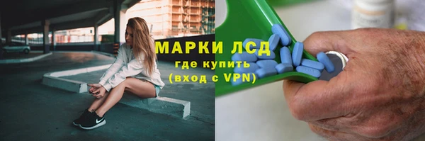 винт Алзамай
