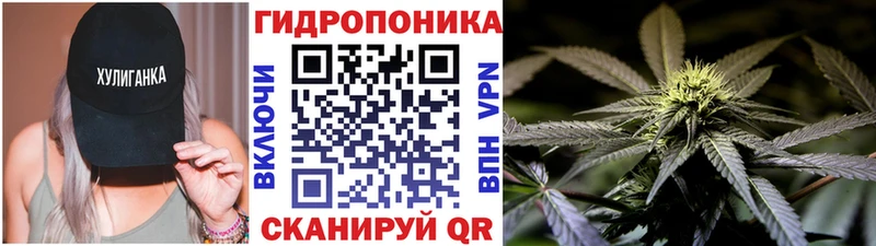 Шишки марихуана Ganja  как найти закладки  дарк нет клад  Шатура 